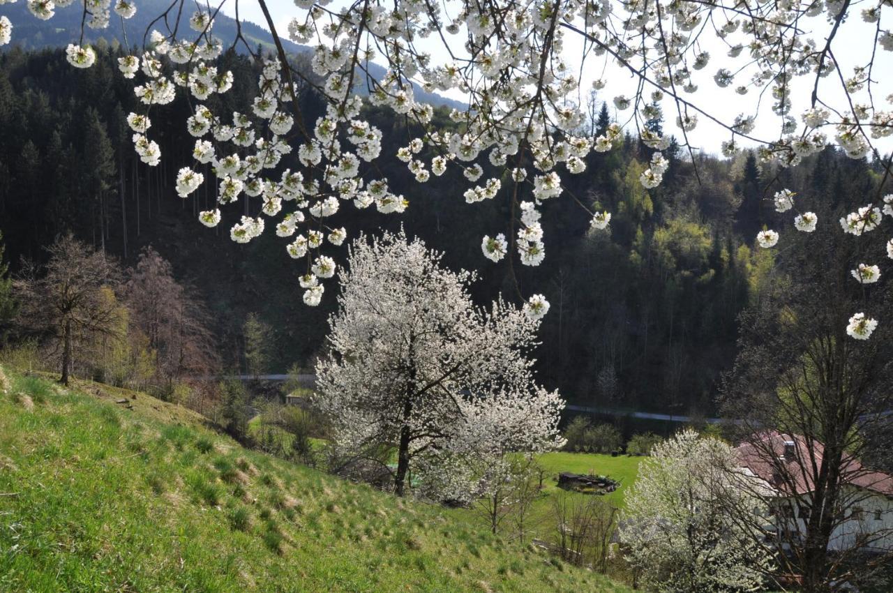 Gaestehaus Pension Edelweiss Kolsass Pokoj fotografie